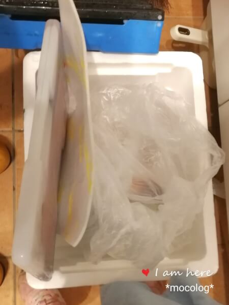 保冷ボックス開封
