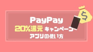 PayPay20%還元