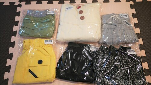 キャリーオン購入商品