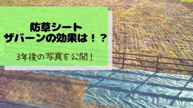 防草シートの効果 ザバーン の口コミ 3年間ほぼ雑草のお手入れなし もころぐ